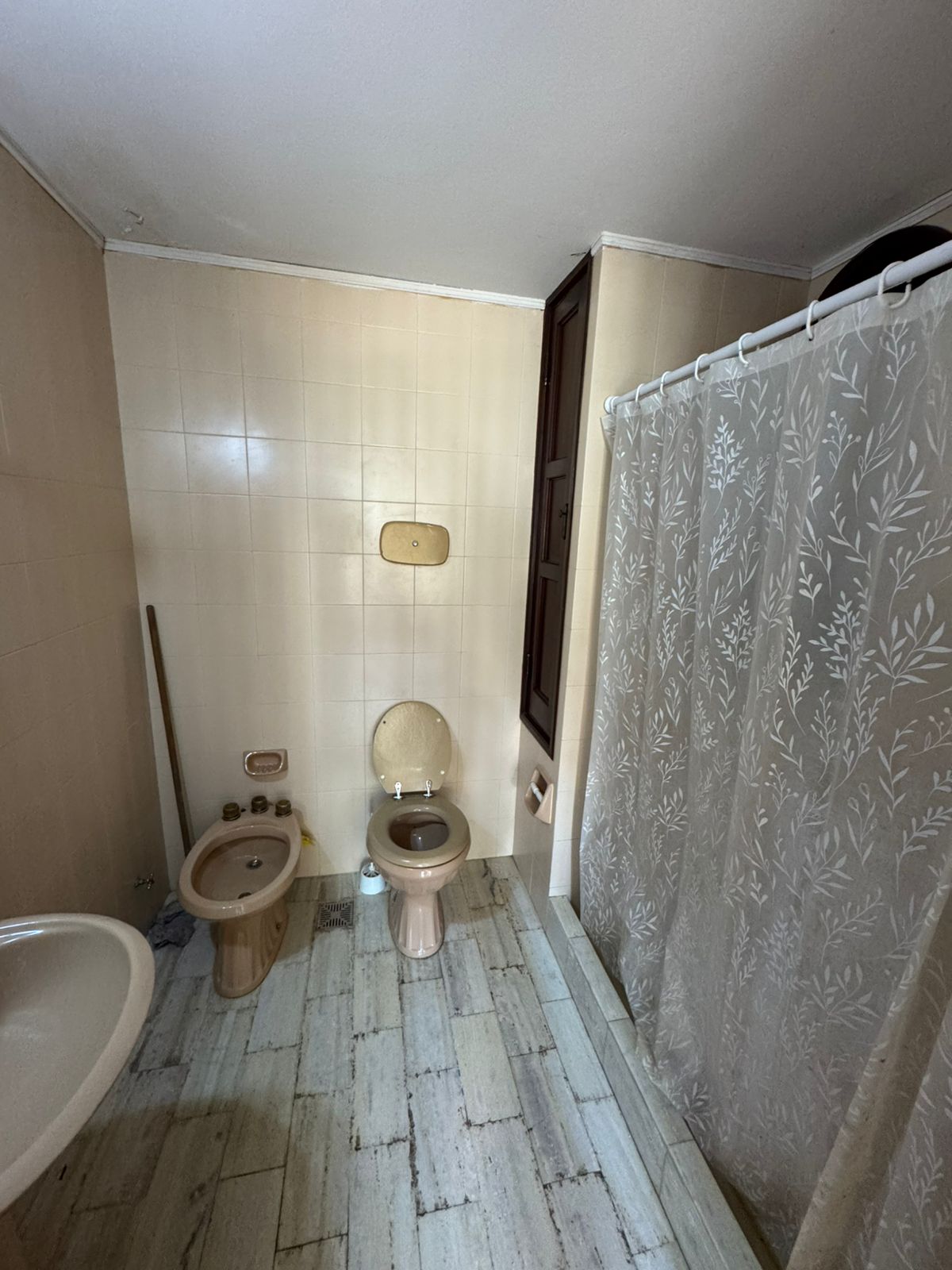 WhatsApp Image 2025-03-05 at 11.13.25