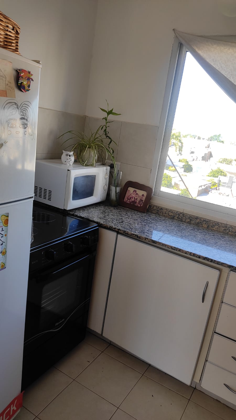 WhatsApp Image 2025-06-09 at 11.00.09