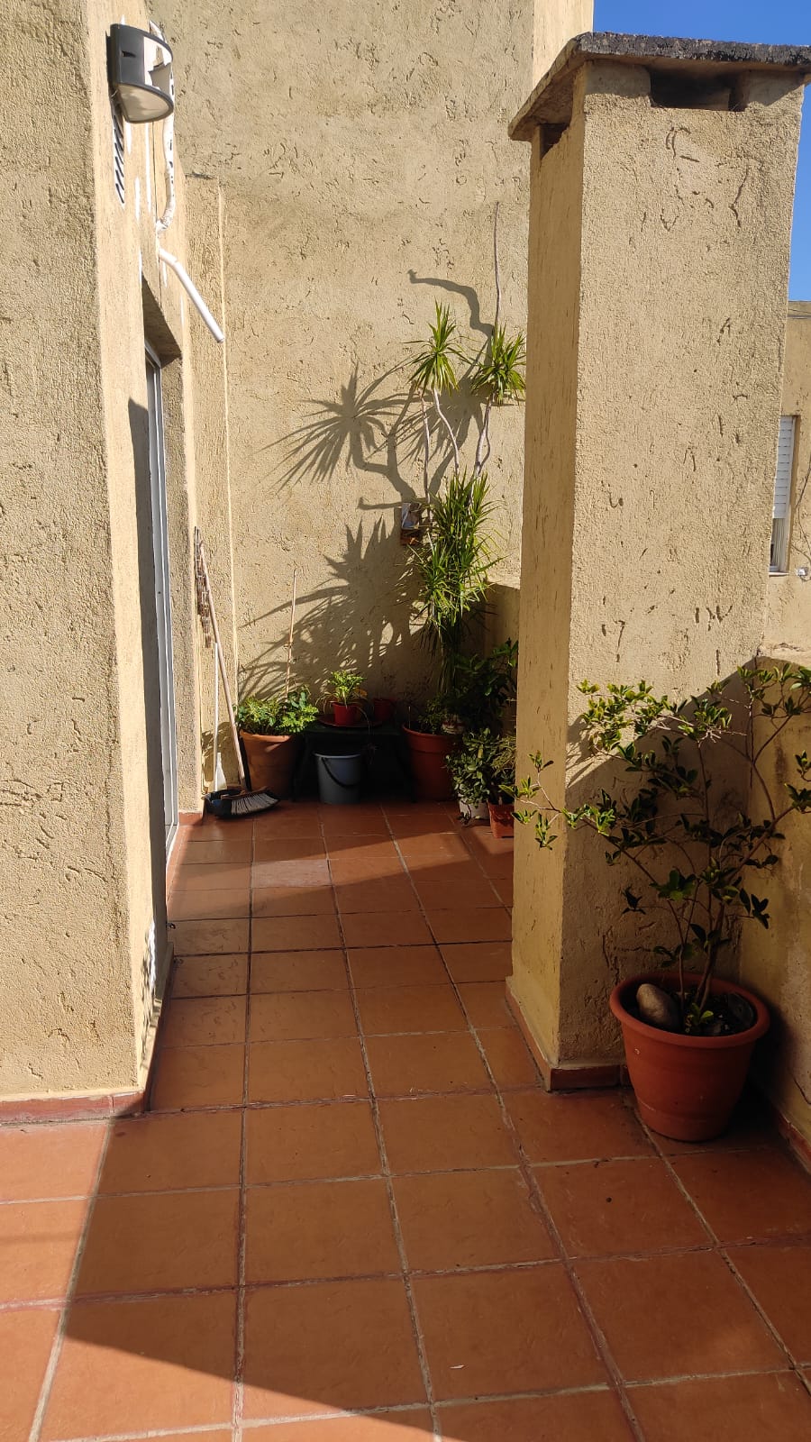 WhatsApp Image 2025-06-09 at 11.00.10