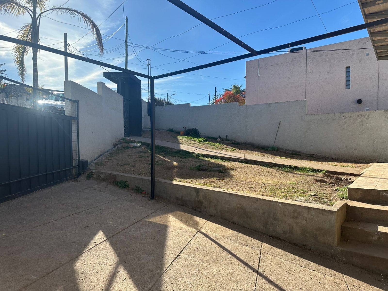 WhatsApp Image 2025-08-15 at 11.23.39