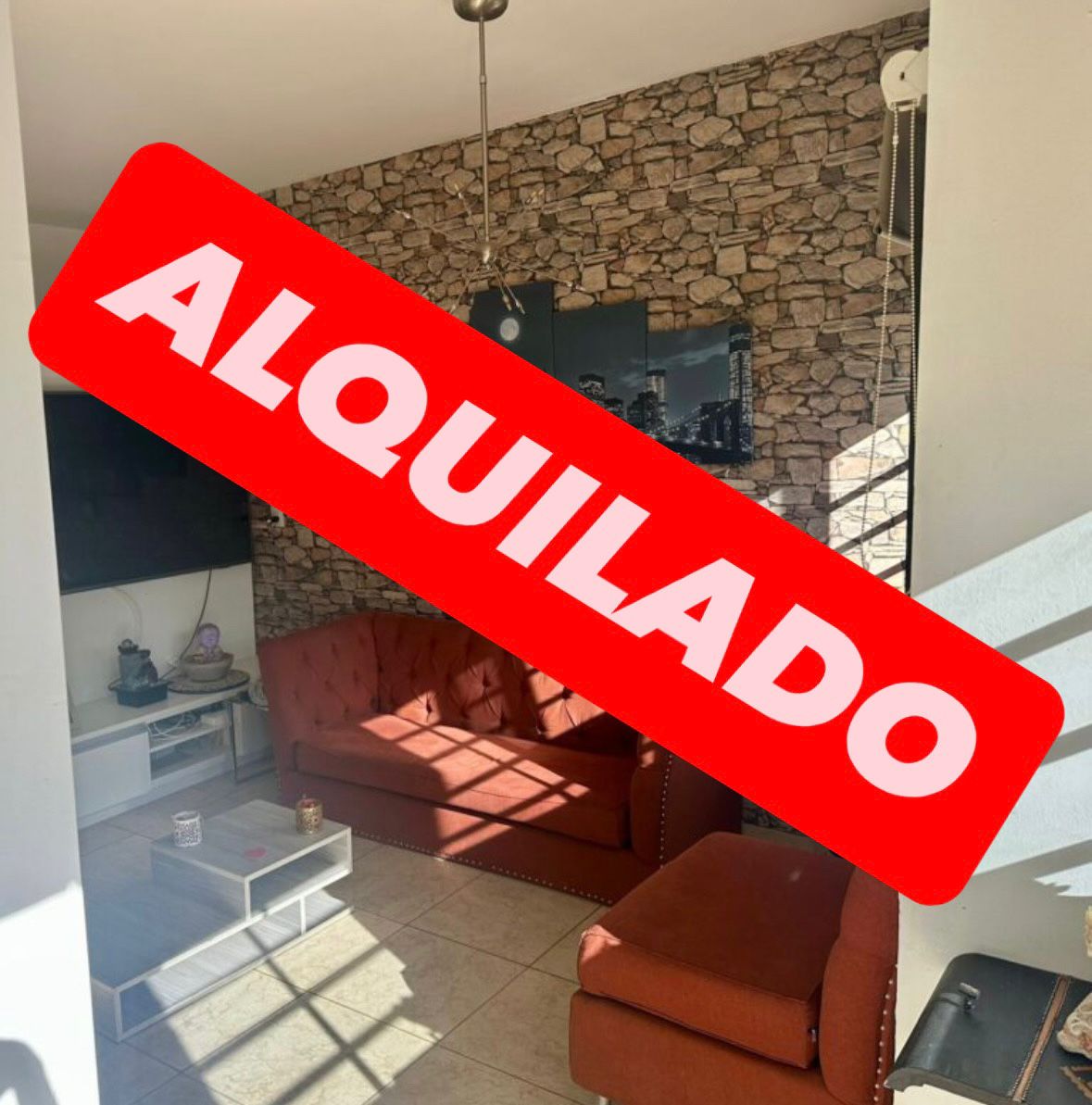 WhatsApp Image 2026-02-26 at 17.00.00