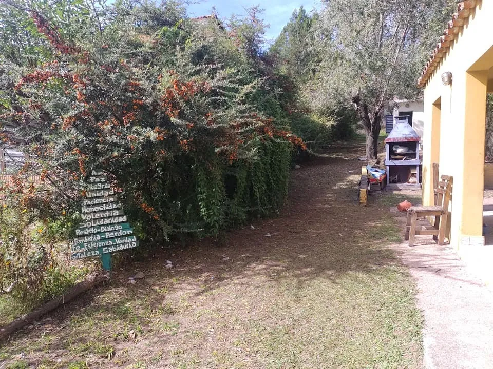 D_647315-MLA78827757575_082024-F