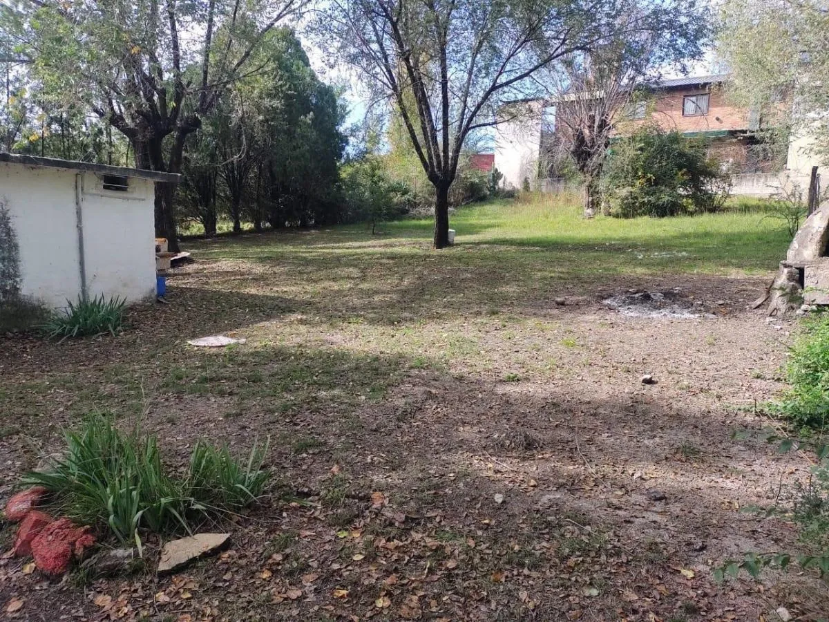 D_666301-MLA78826930471_082024-F