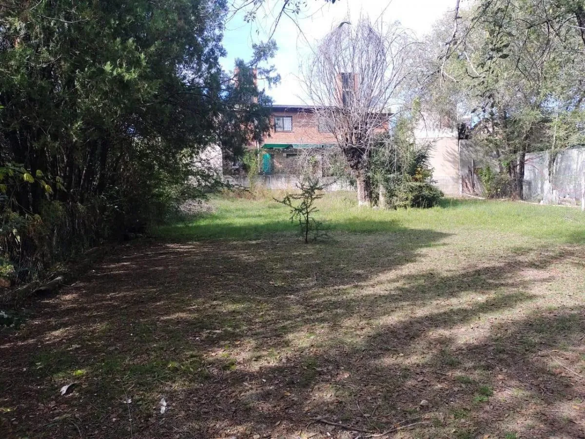 D_716563-MLA78826832171_082024-F