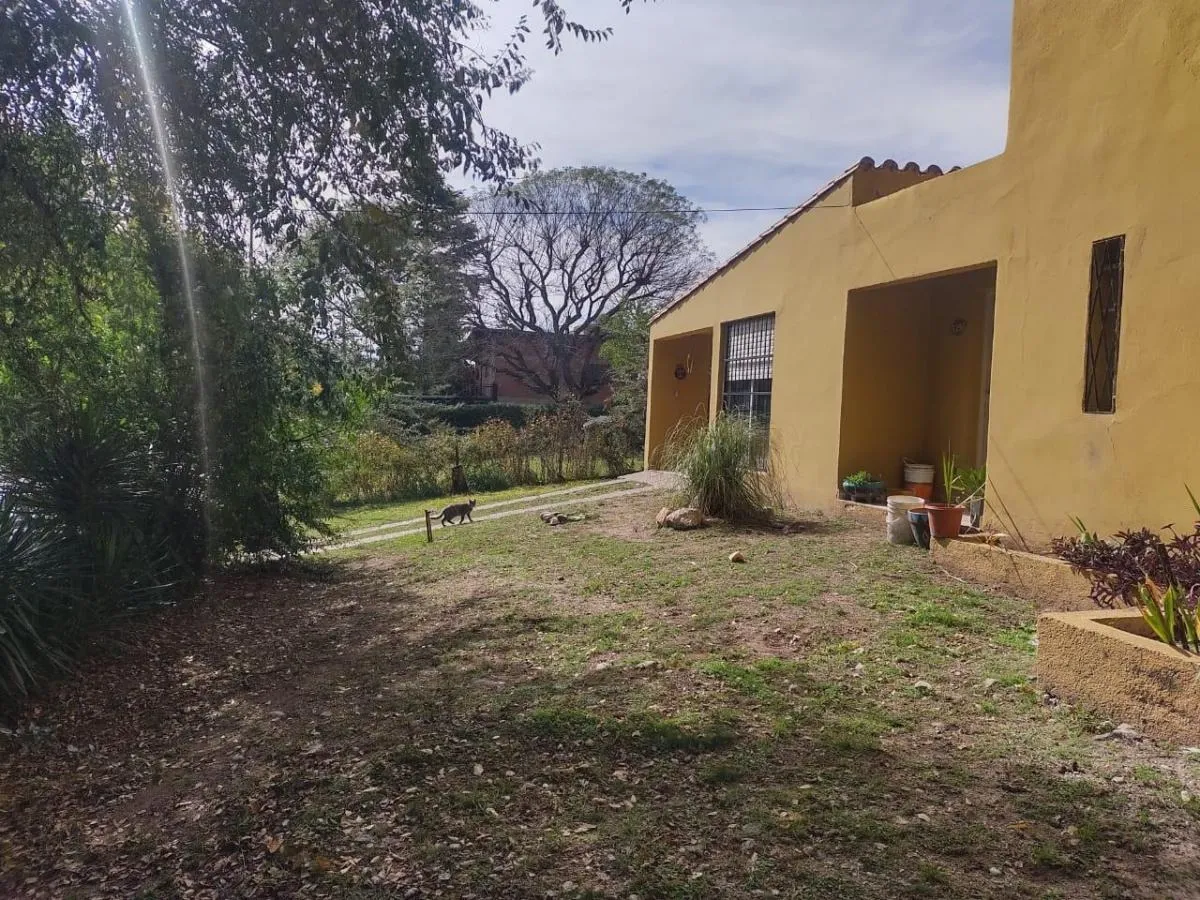 D_750192-MLA78826890951_082024-F