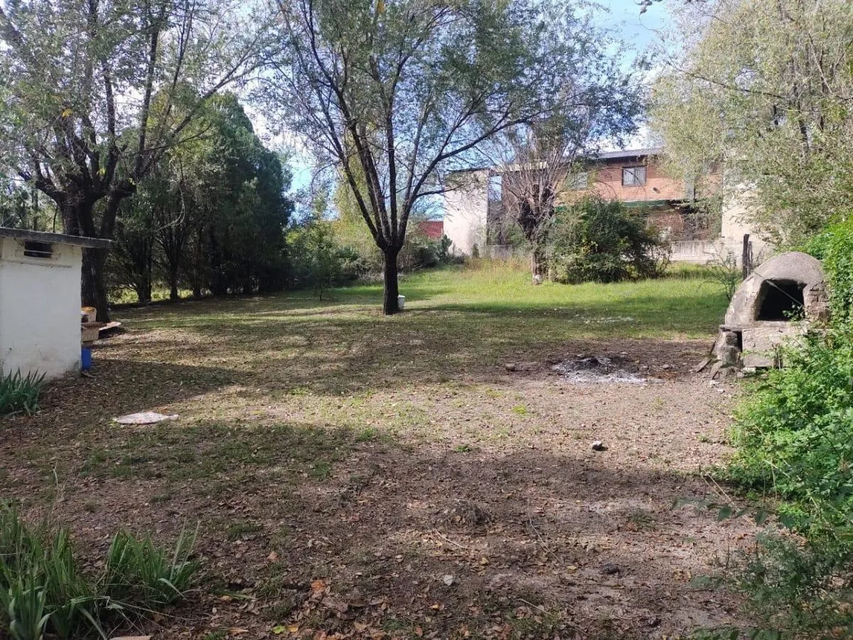 D_794730-MLA78826870905_082024-F