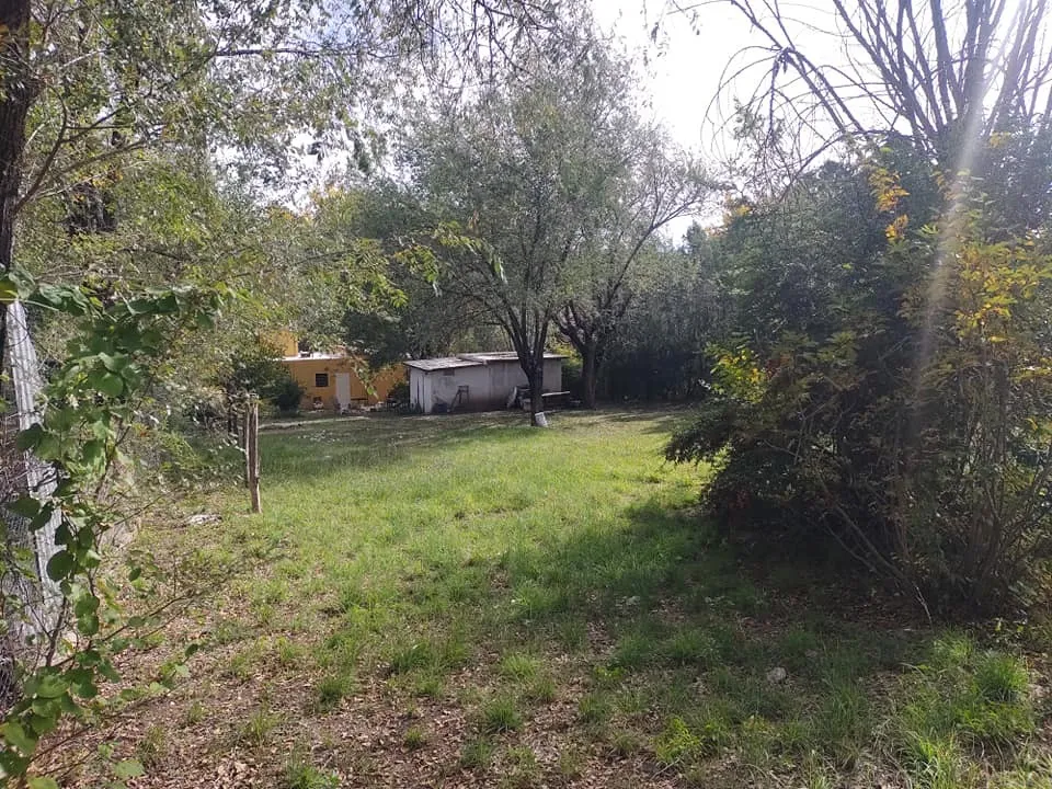 D_809700-MLA78593541148_082024-F