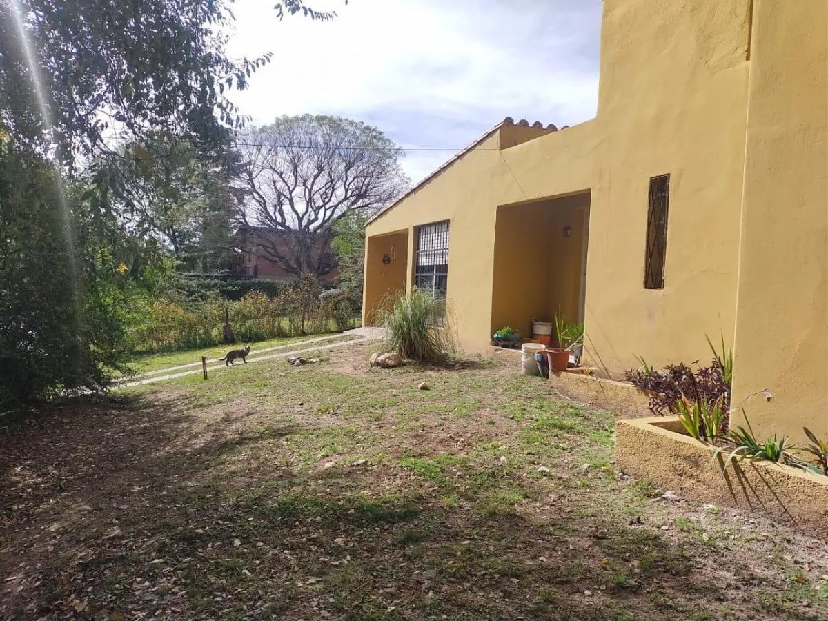 D_812435-MLA78827146233_082024-F