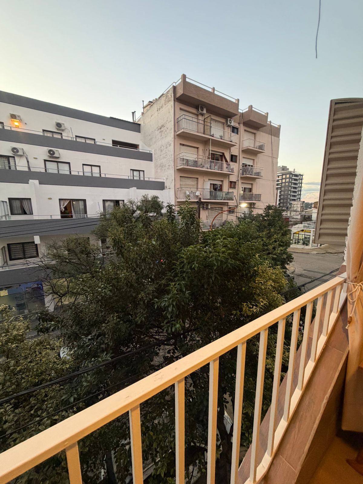 WhatsApp Image 2026-03-20 at 19.23.23