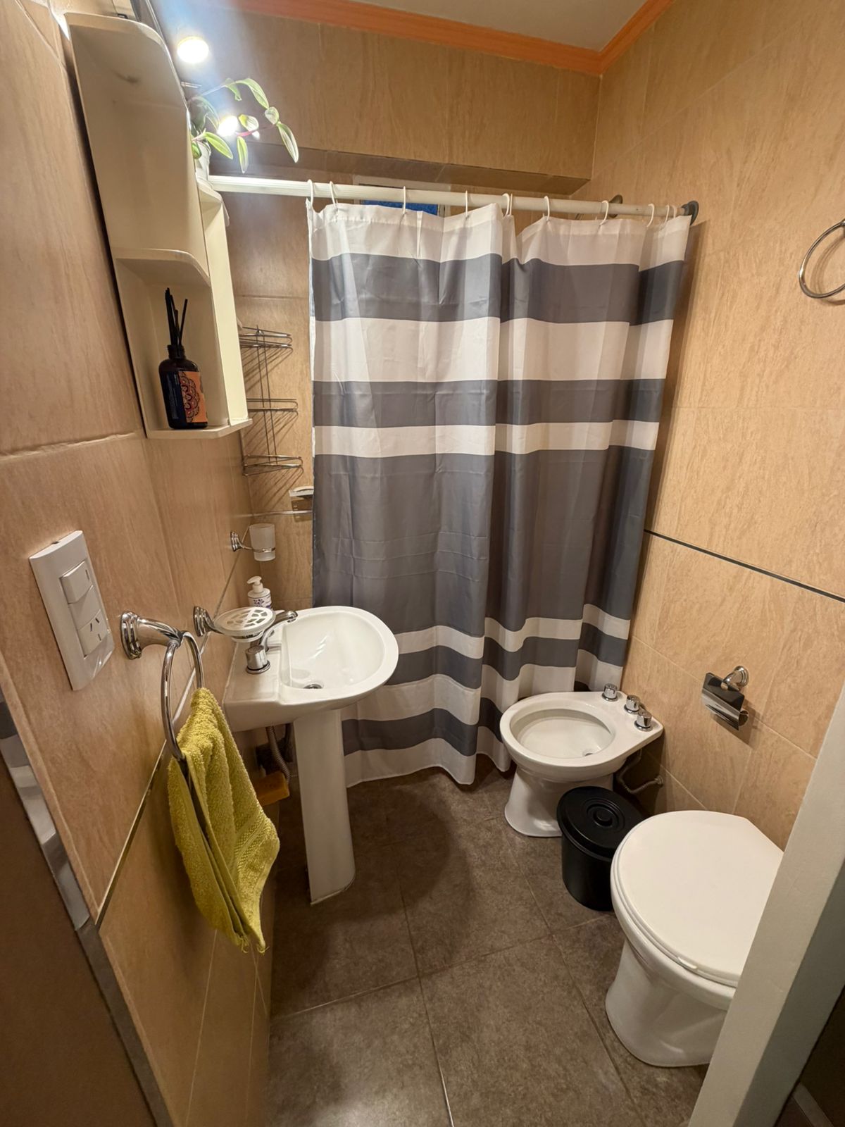 WhatsApp Image 2026-03-20 at 19.23.25